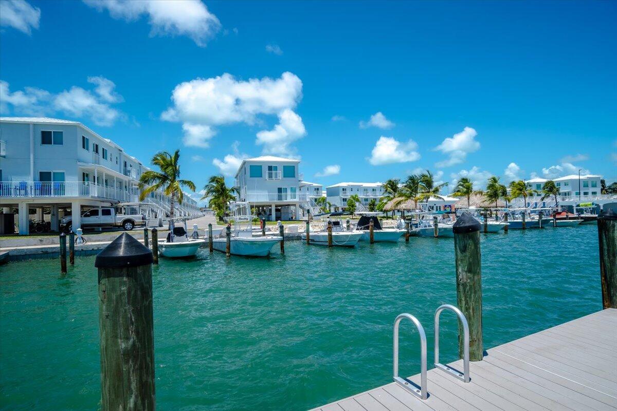 10877 Overseas Highway 94 Property Photo 54