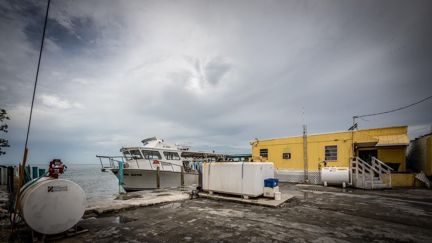 15 Seaview Avenue Property Photo 7