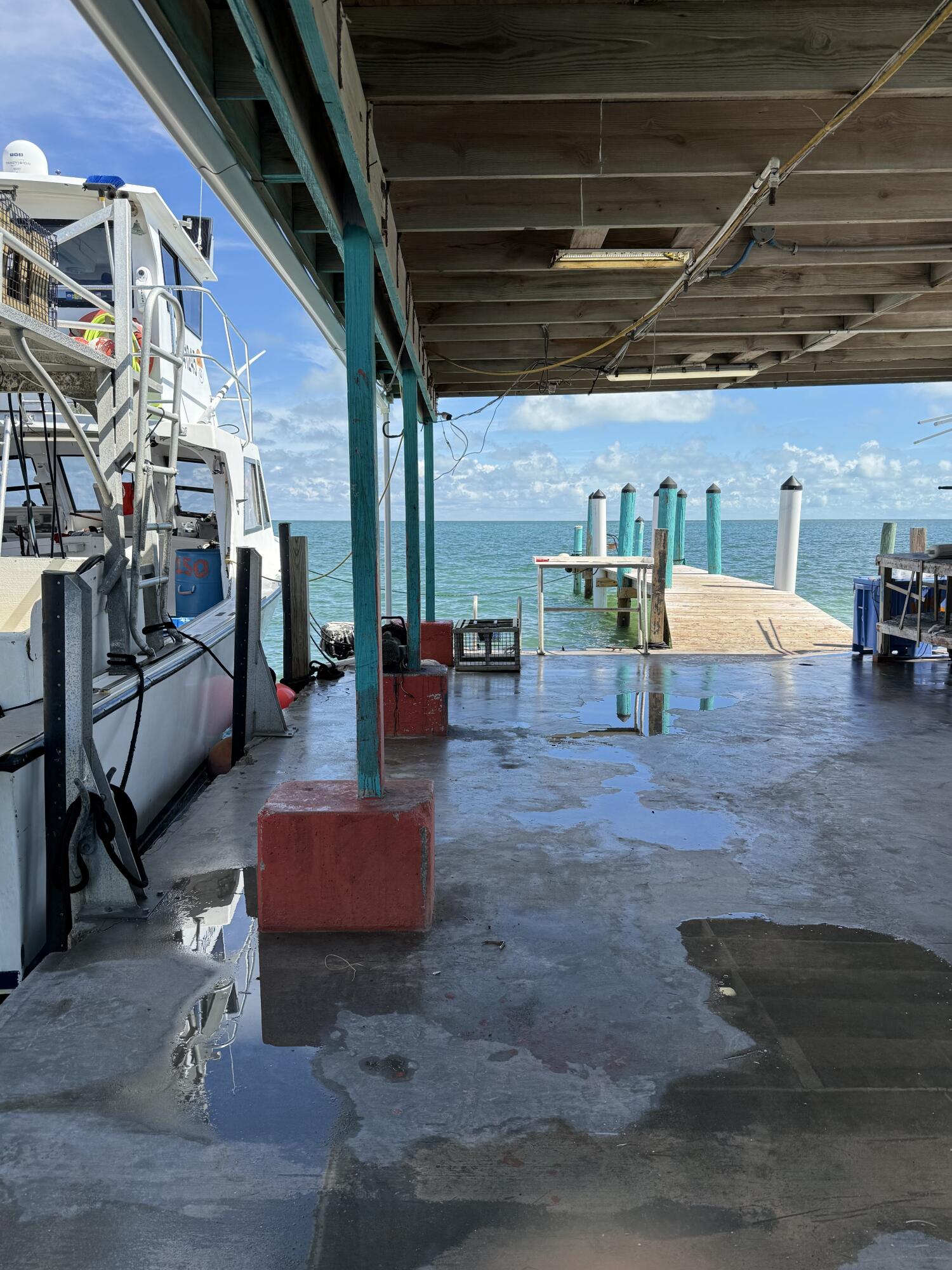 15 Seaview Avenue Property Photo 14