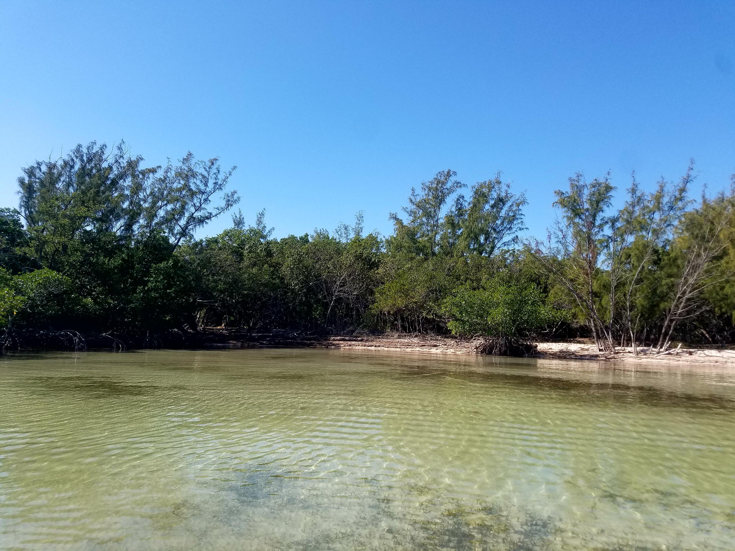 Main Key, Barnes Sound Property Photo 8