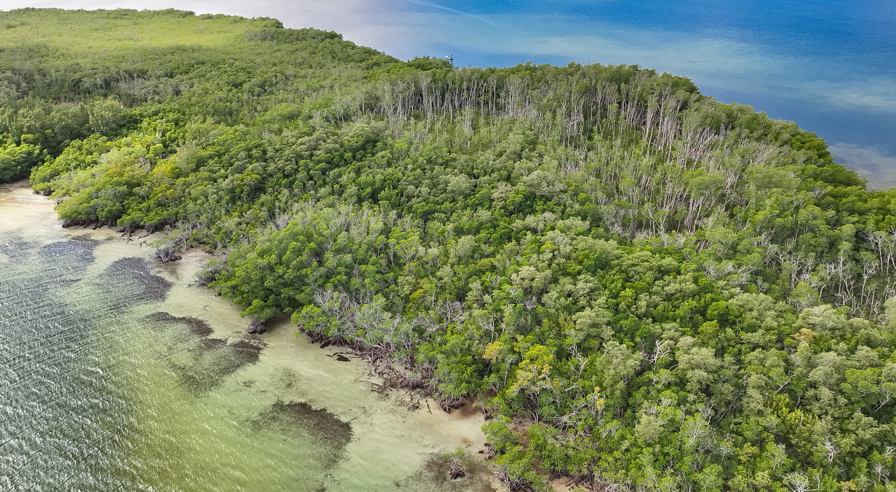 Main Key, Barnes Sound Property Photo 16