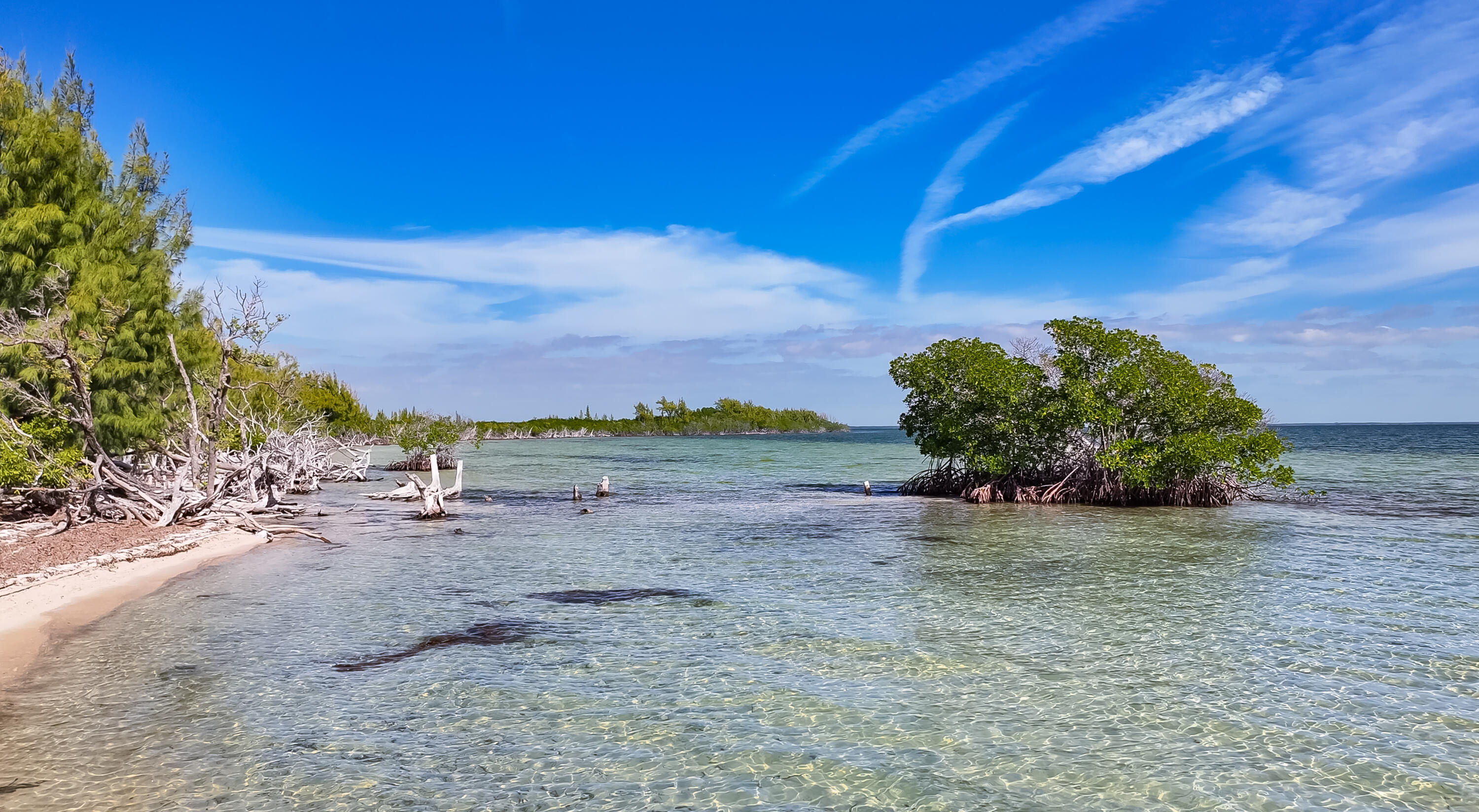 Main Key, Barnes Sound Property Photo 17