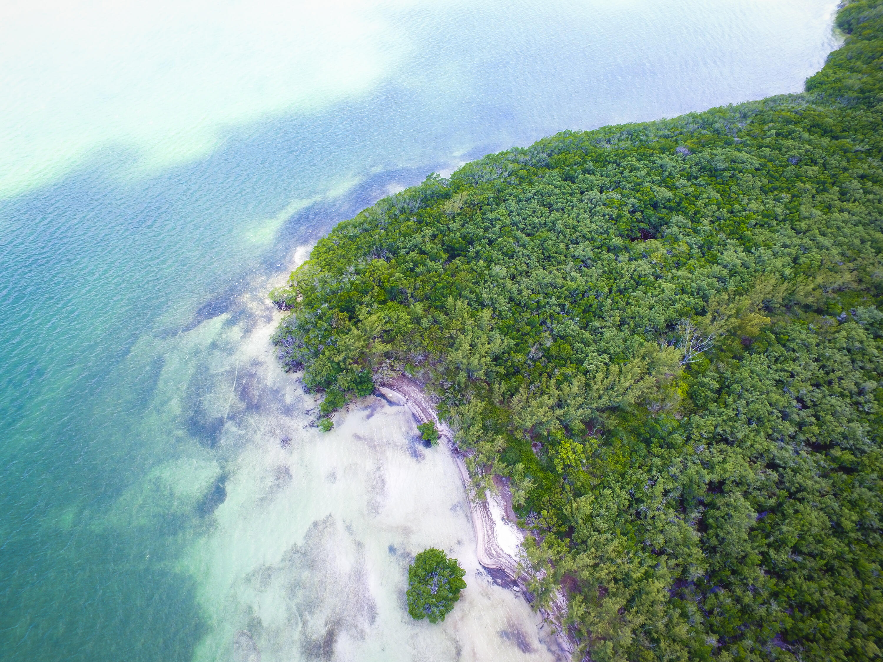 Main Key, Barnes Sound Property Photo 27