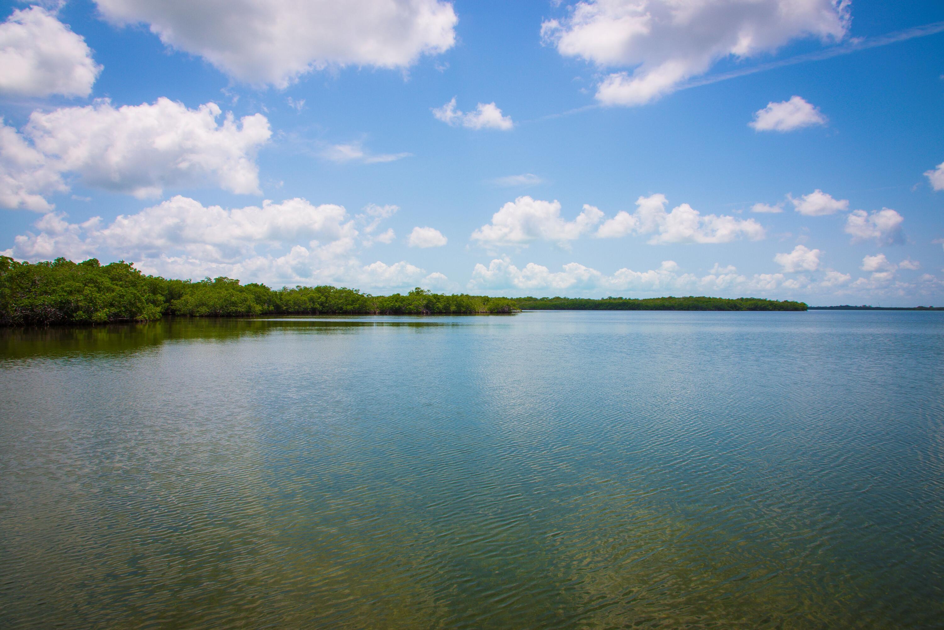 Main Key, Barnes Sound Property Photo 29