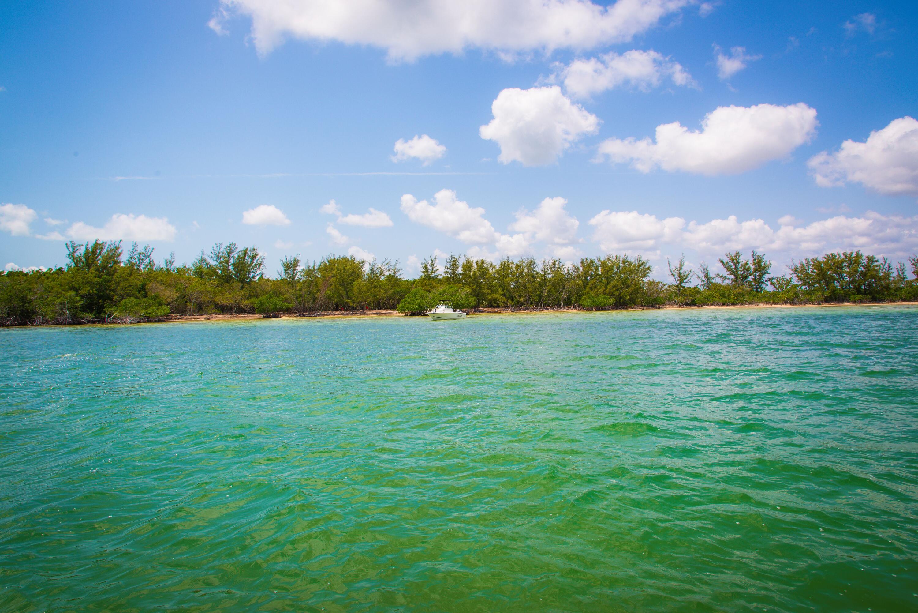 Main Key, Barnes Sound Property Photo 30