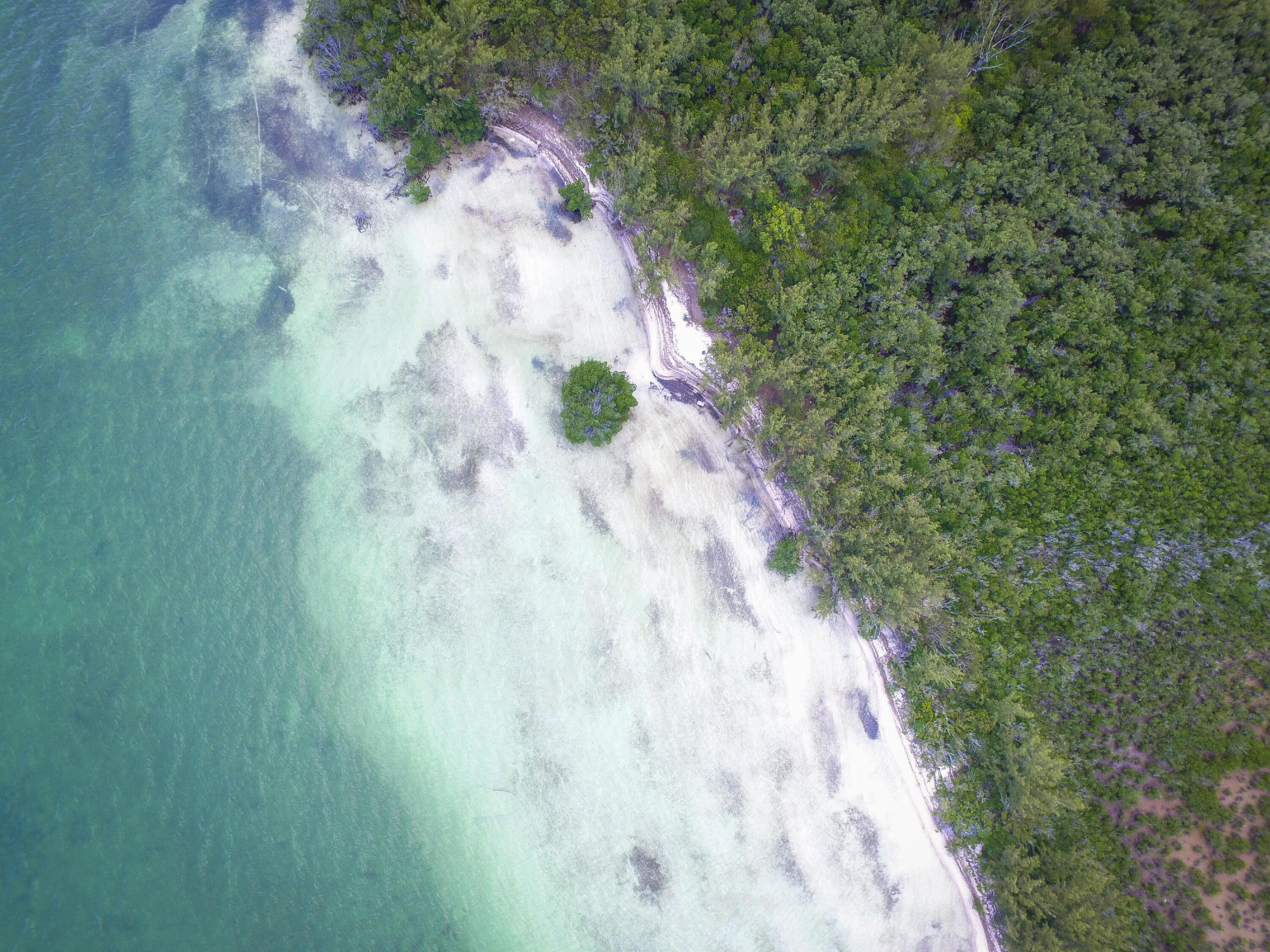 Main Key, Barnes Sound Property Photo 31