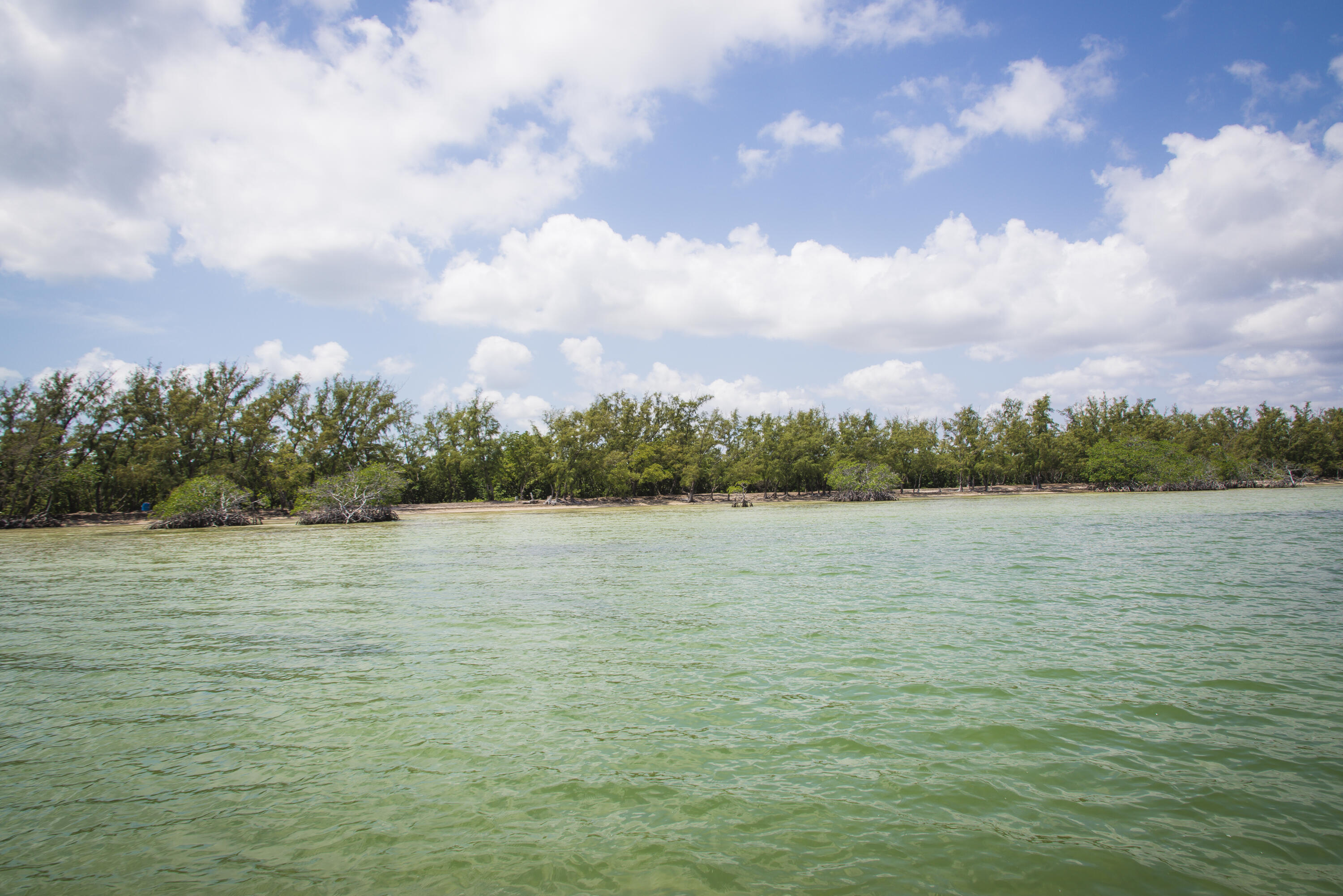 Main Key, Barnes Sound Property Photo 32