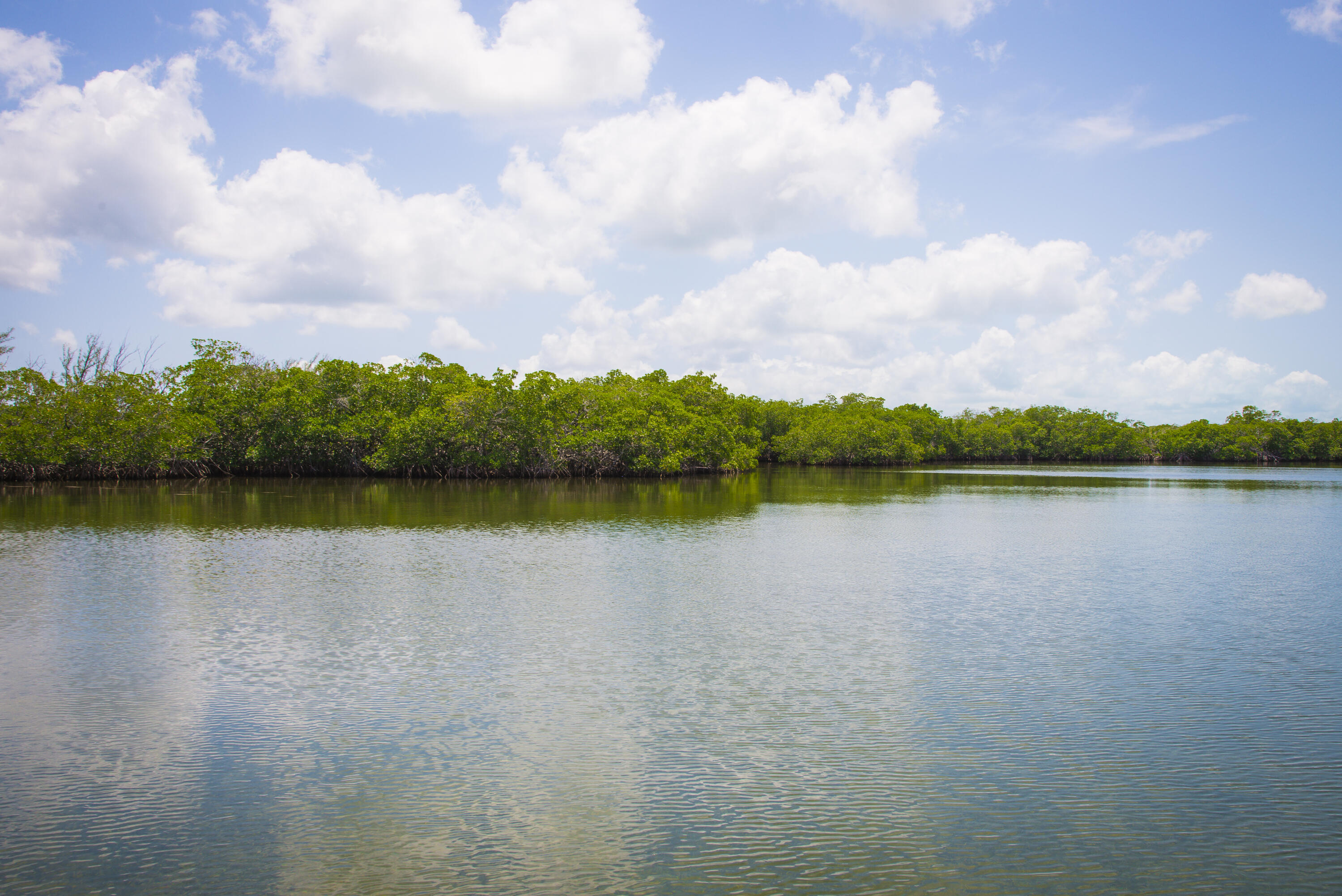 Main Key, Barnes Sound Property Photo 33