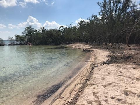 Main Key, Barnes Sound Property Photo 34