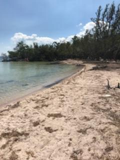 Main Key, Barnes Sound Property Photo 35