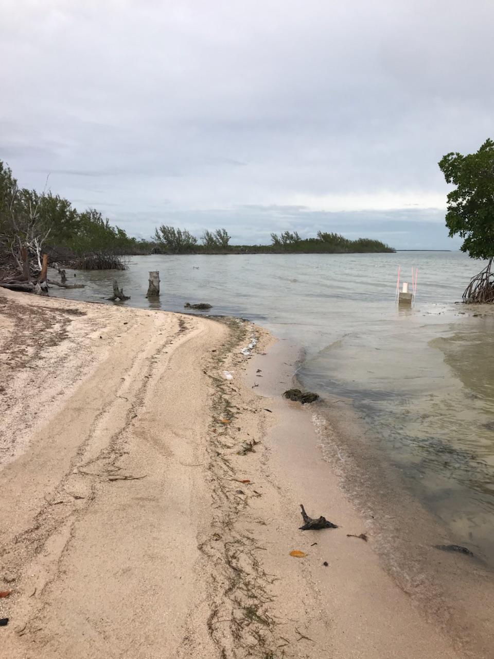 Main Key, Barnes Sound Property Photo 36