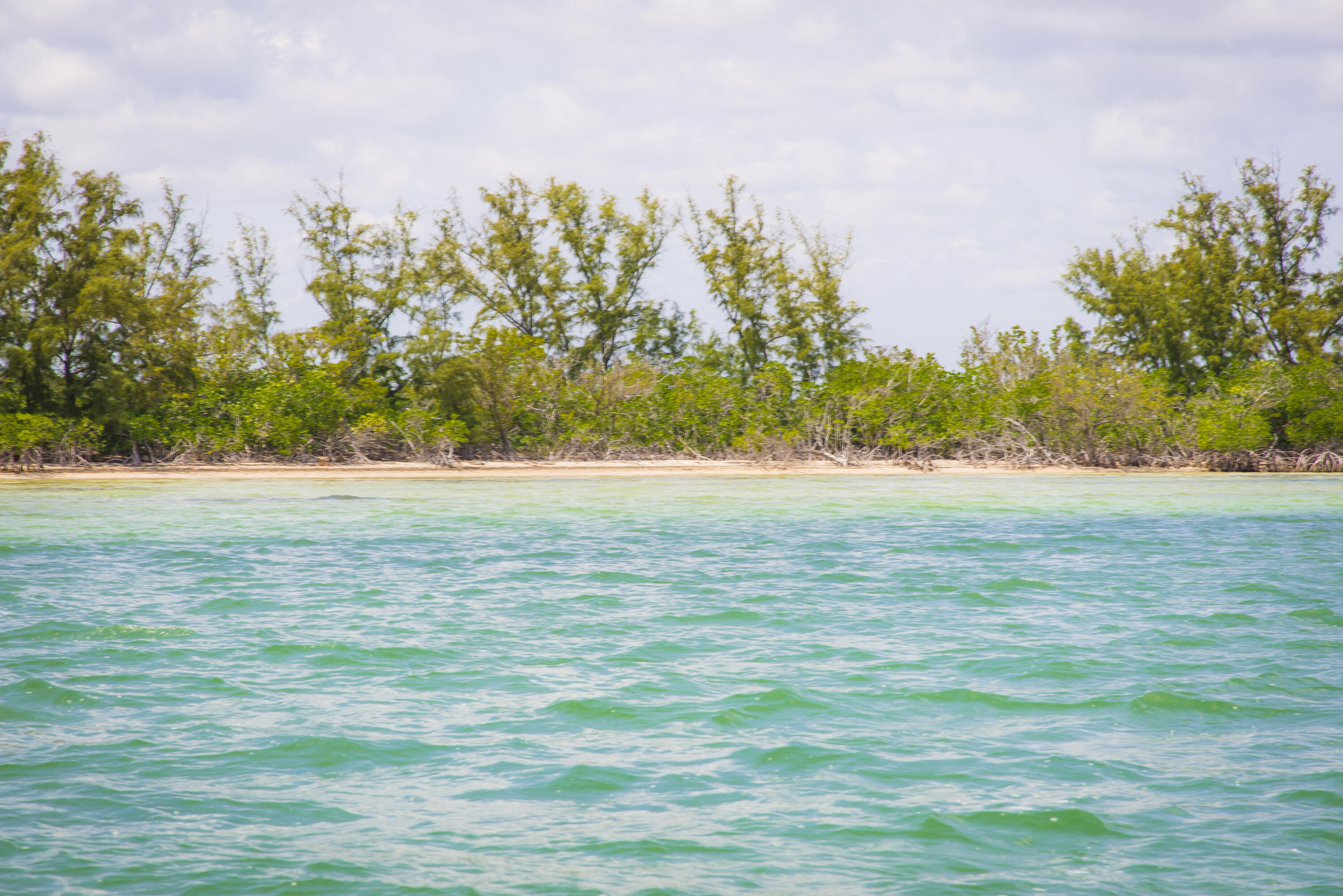 Main Key, Barnes Sound Property Photo 37