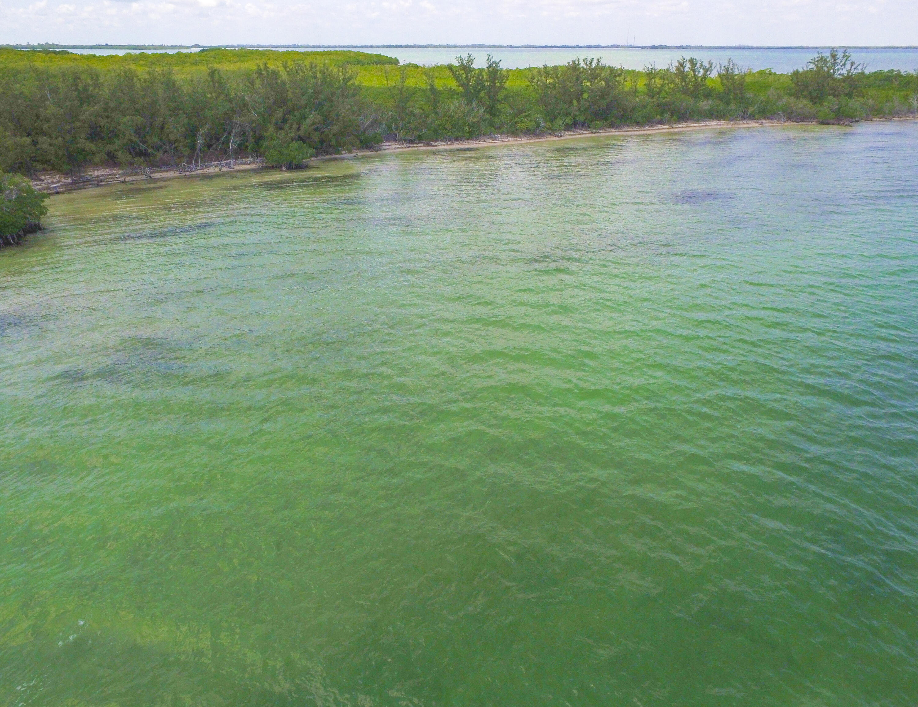 Main Key, Barnes Sound Property Photo 39