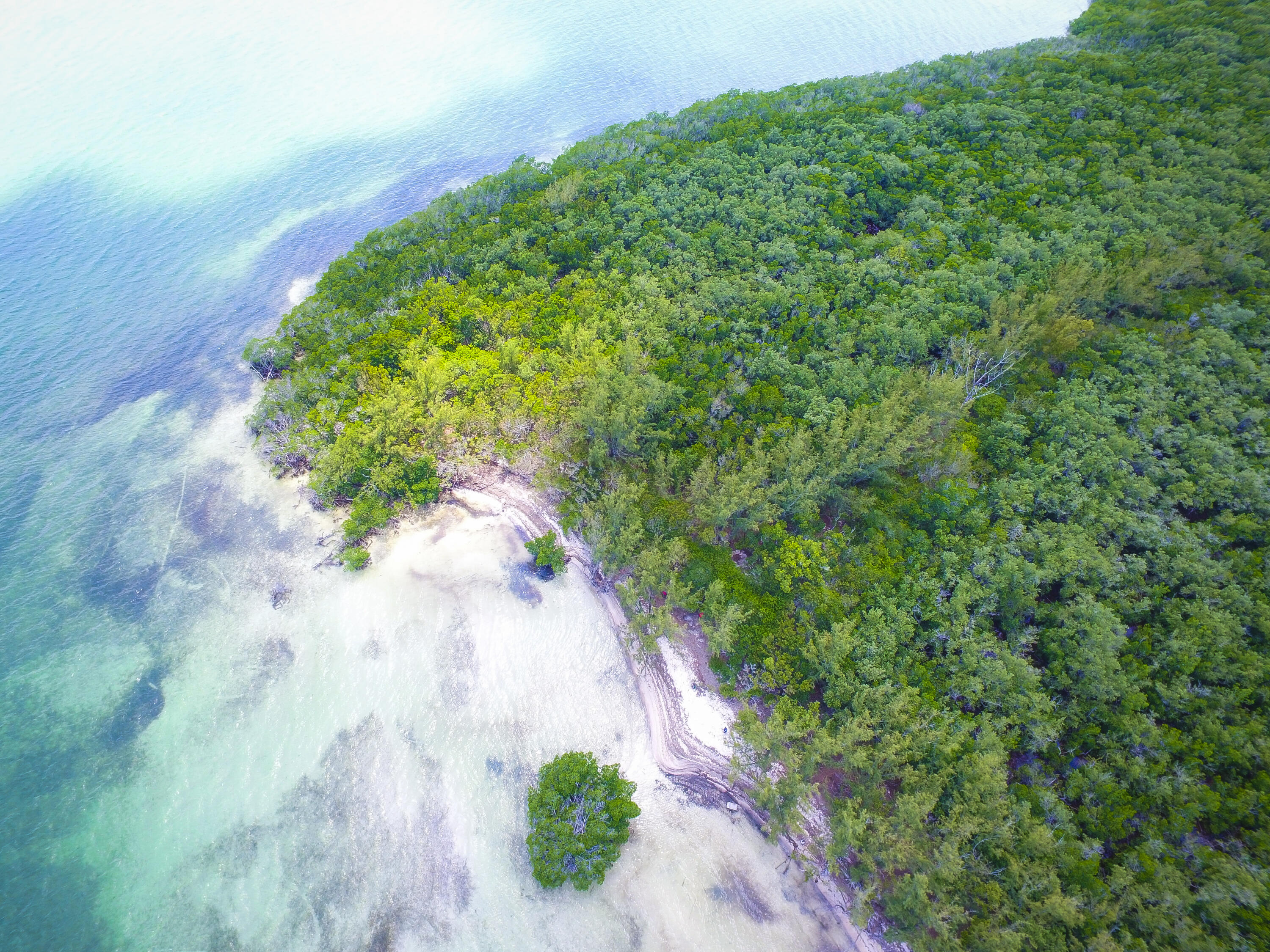 Main Key, Barnes Sound Property Photo 41