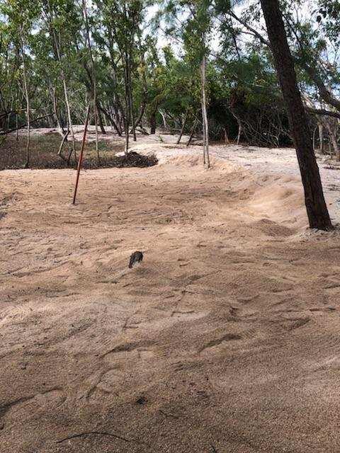 Main Key, Barnes Sound Property Photo 43