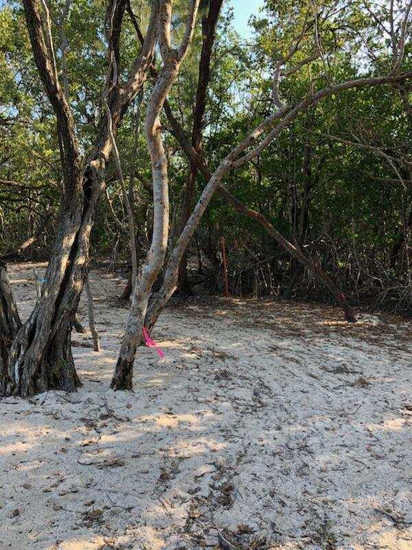 Main Key, Barnes Sound Property Photo 45