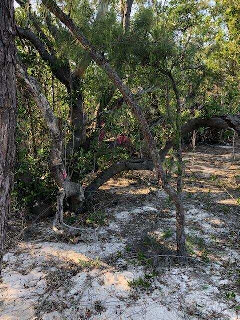 Main Key, Barnes Sound Property Photo 46