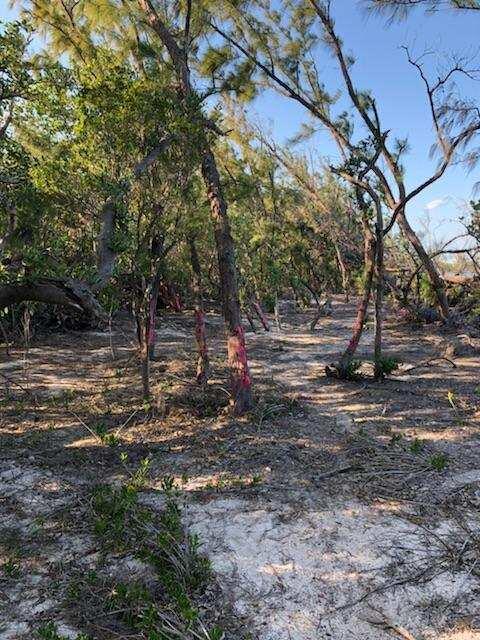 Main Key, Barnes Sound Property Photo 47