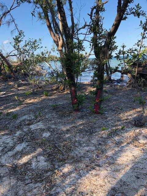 Main Key, Barnes Sound Property Photo 48