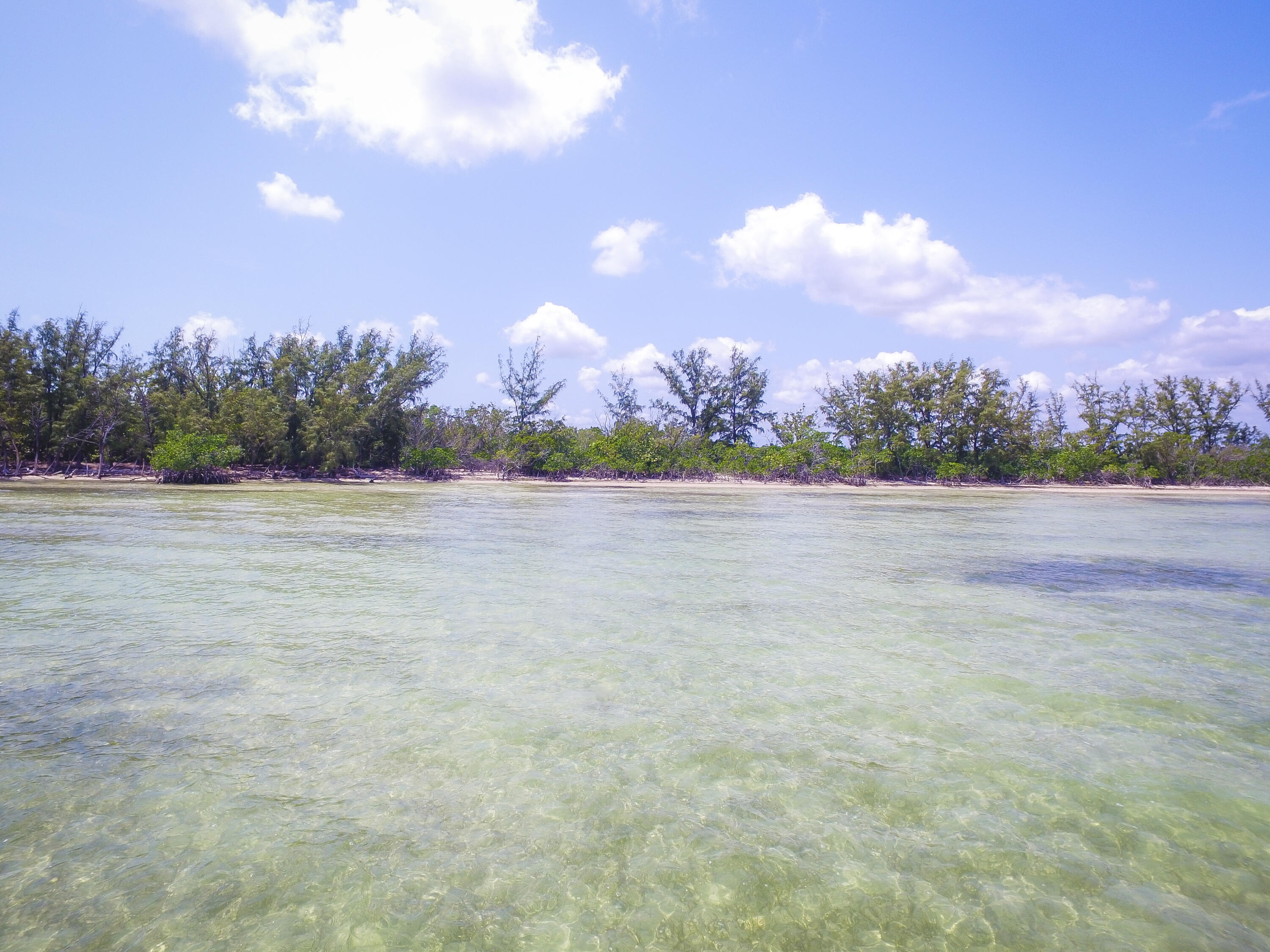 Main Key, Barnes Sound Property Photo 49