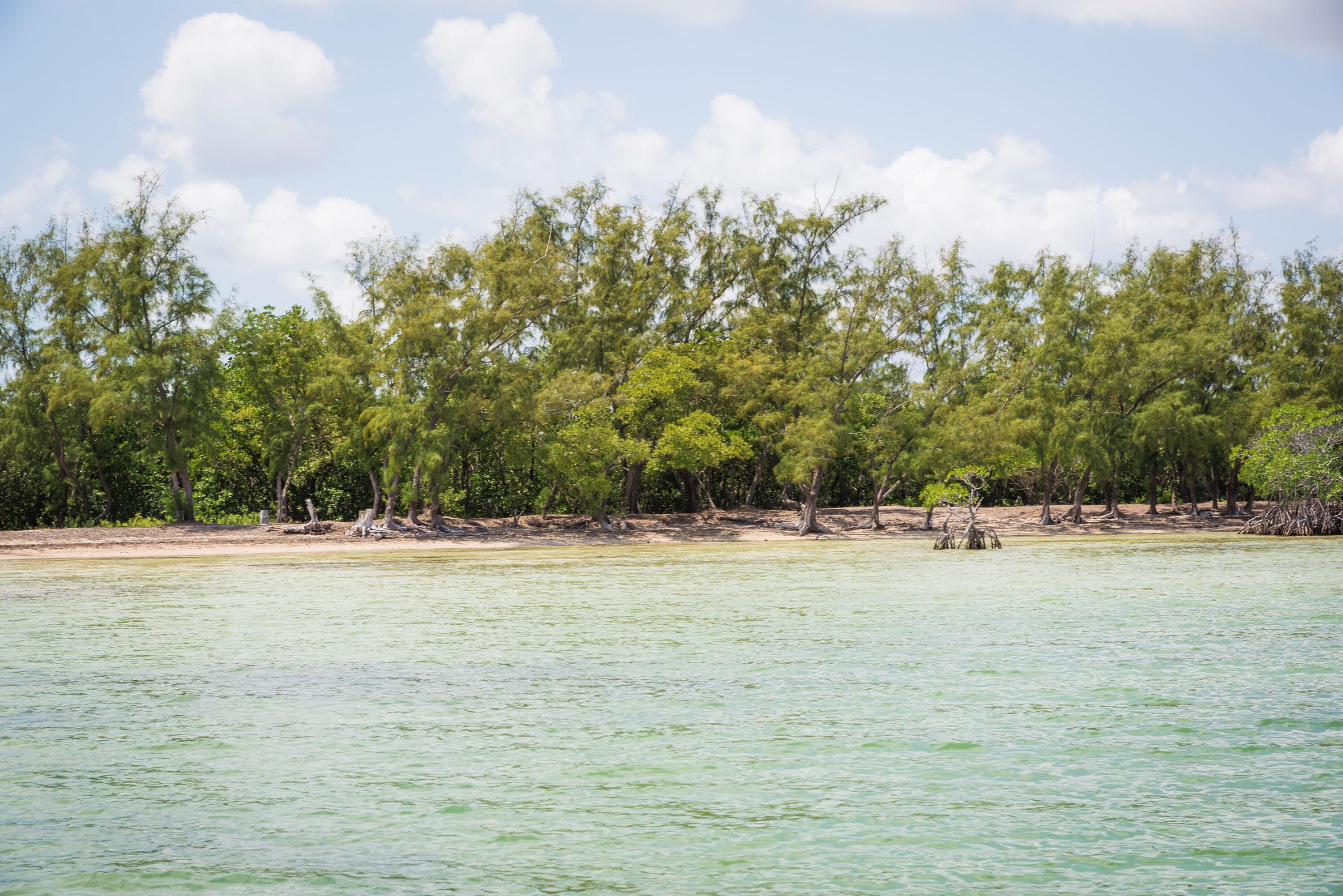 Main Key, Barnes Sound Property Photo 50