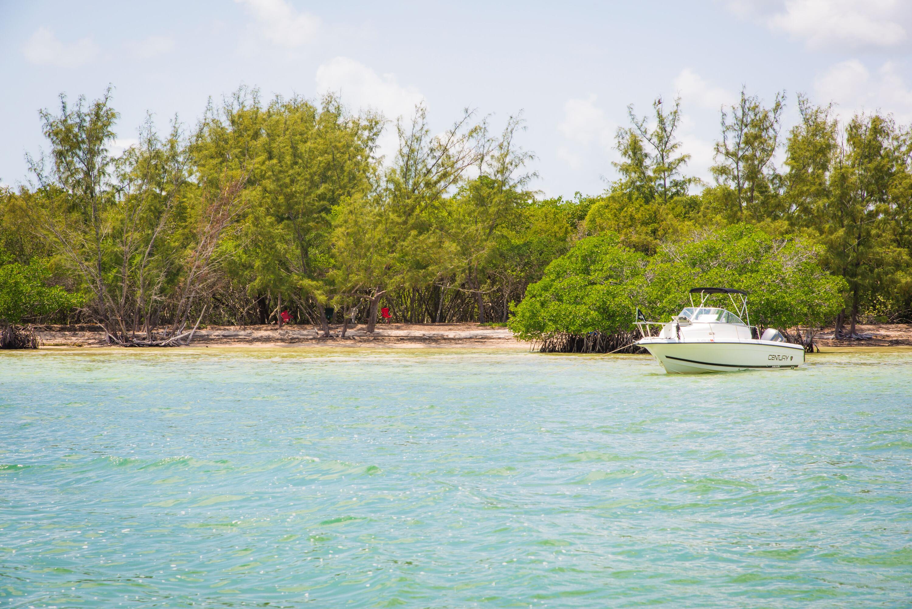 Main Key, Barnes Sound Property Photo 51