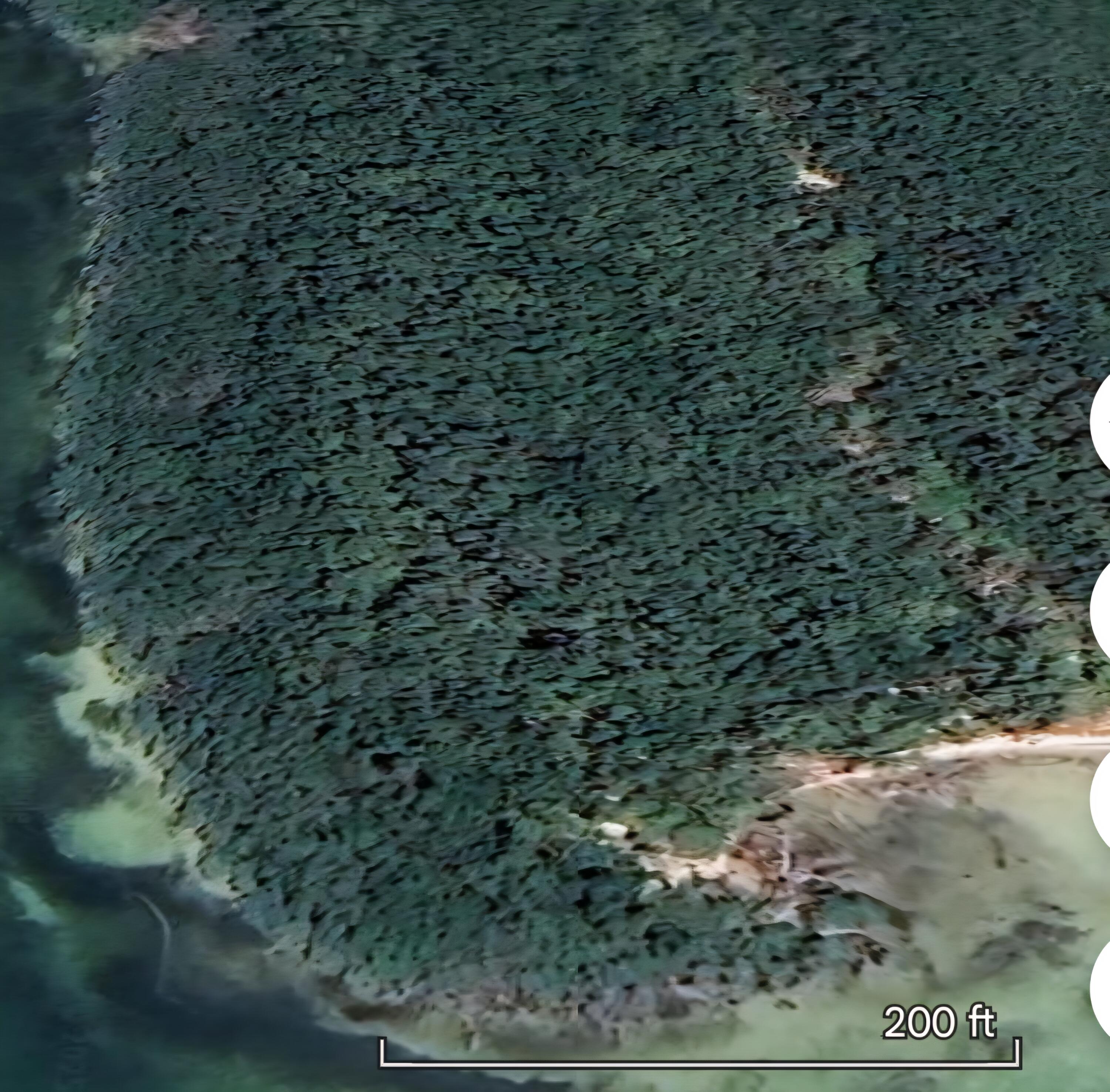 Main Key, Barnes Sound Property Photo 54