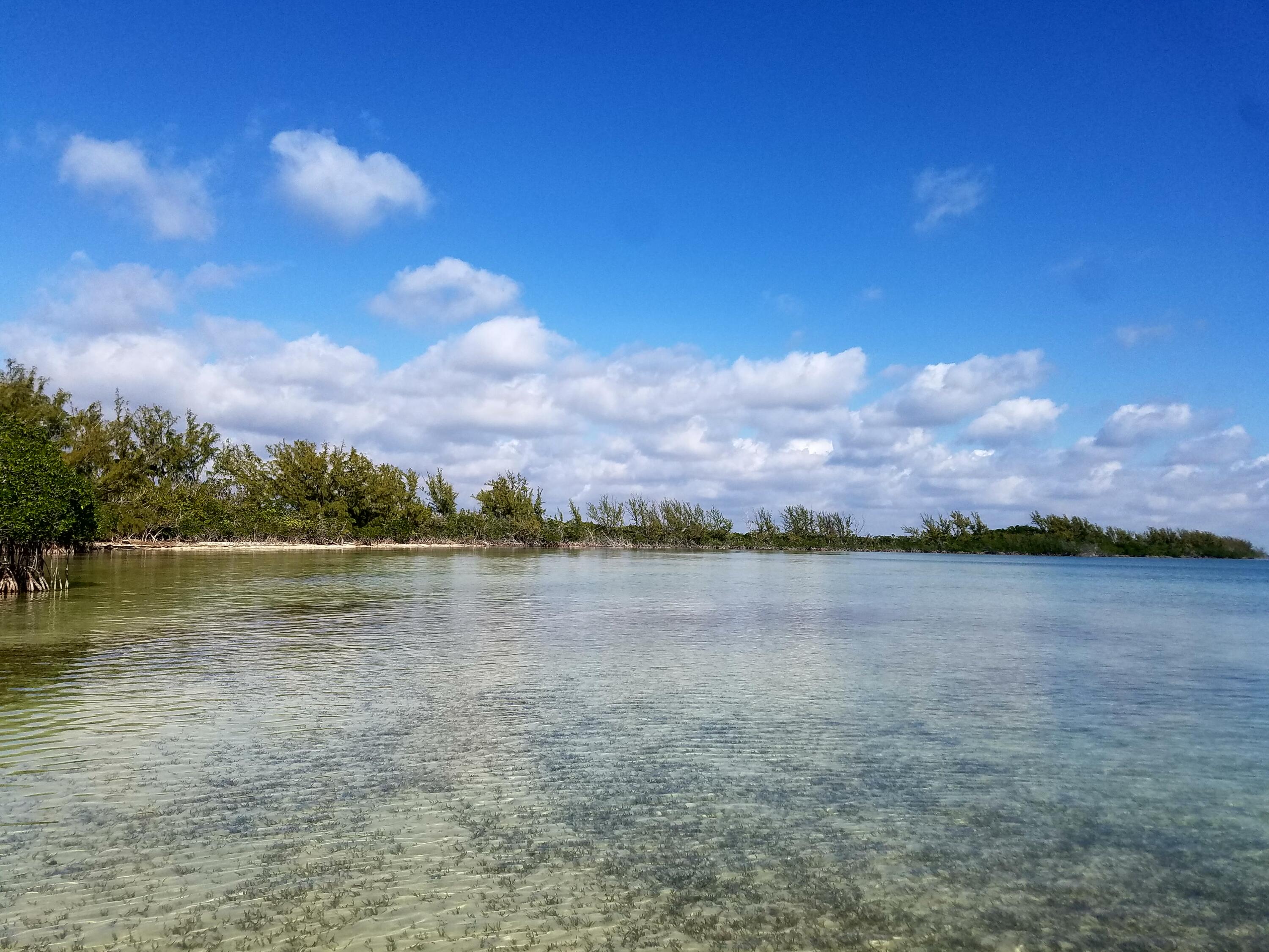 Main Key, Barnes Sound Property Photo 58