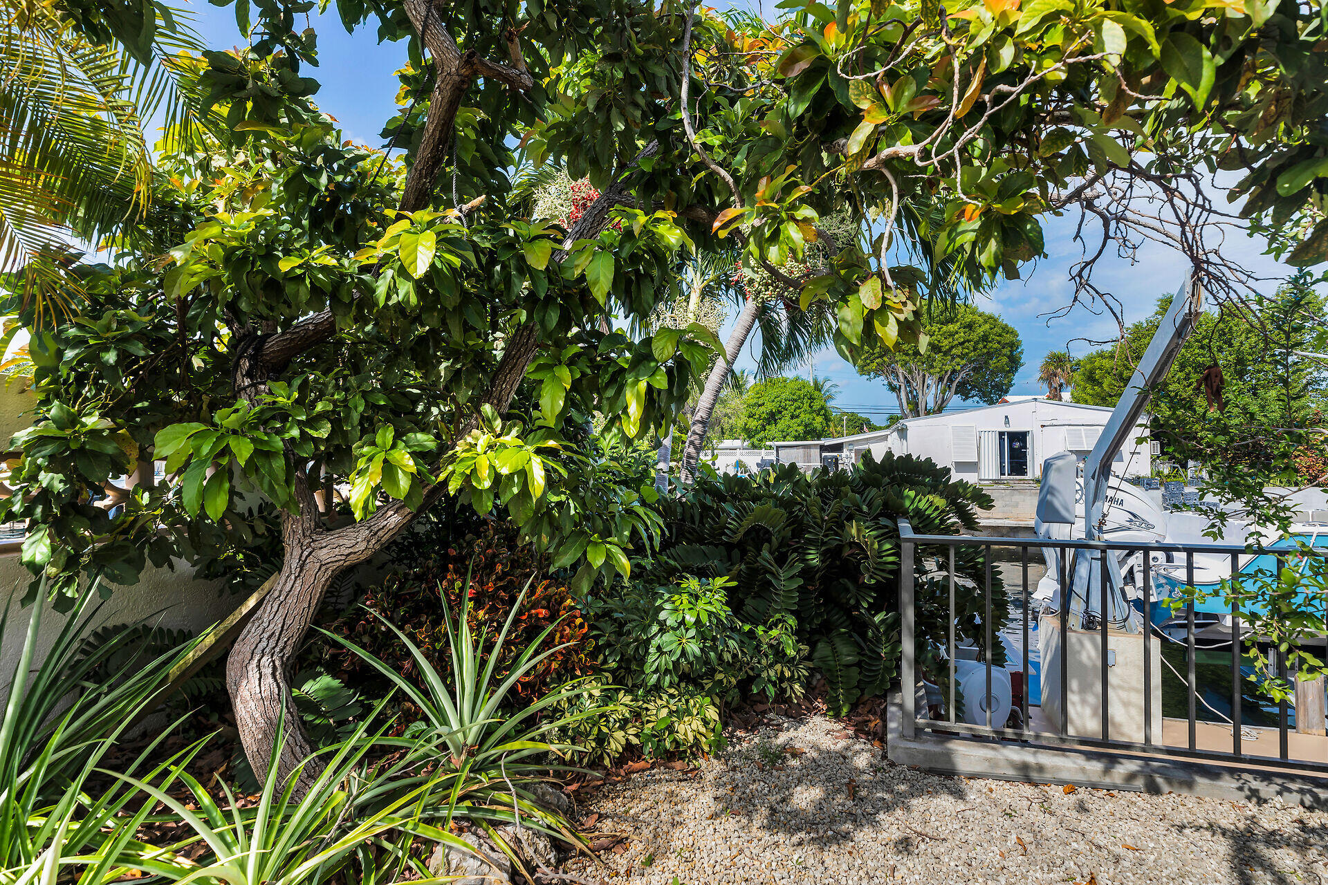 2663 Yellowtail Drive Property Photo 48