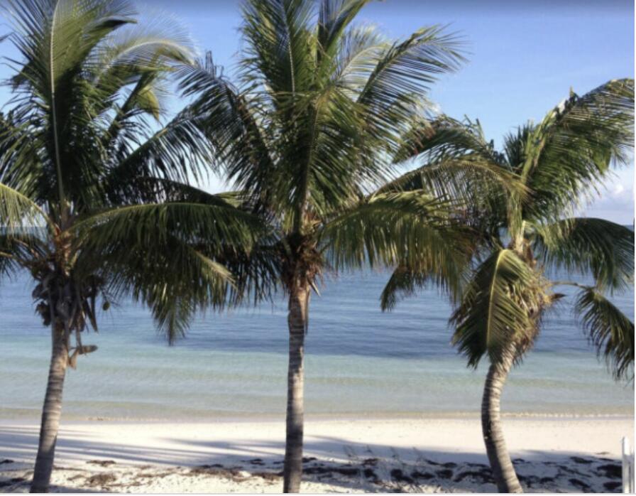 511 4th Street Property Photo 52