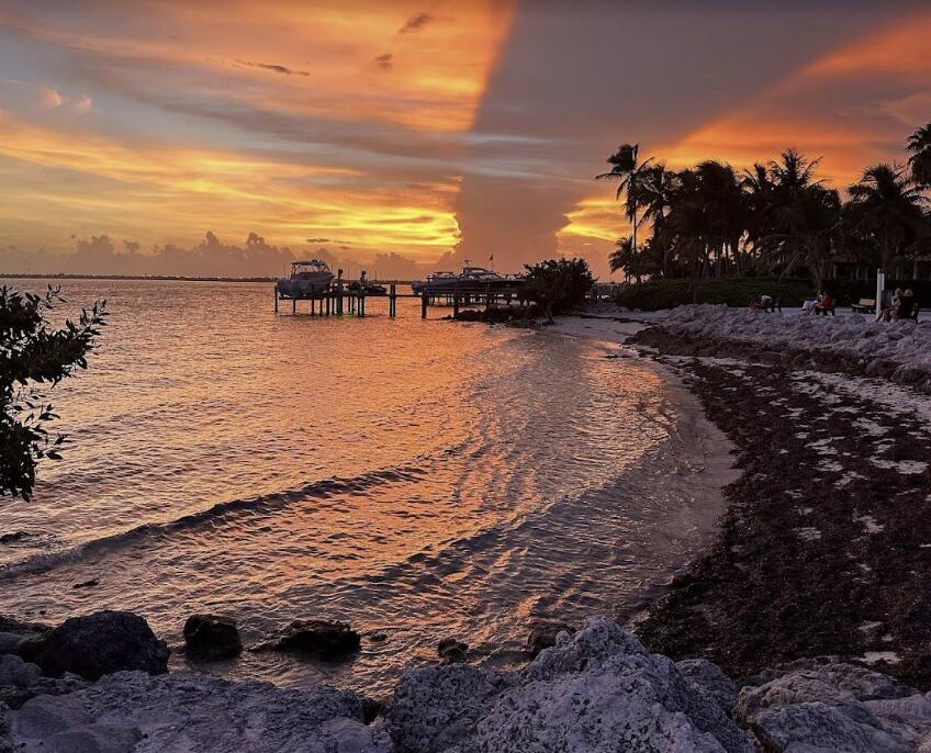 511 4th Street Property Photo 54