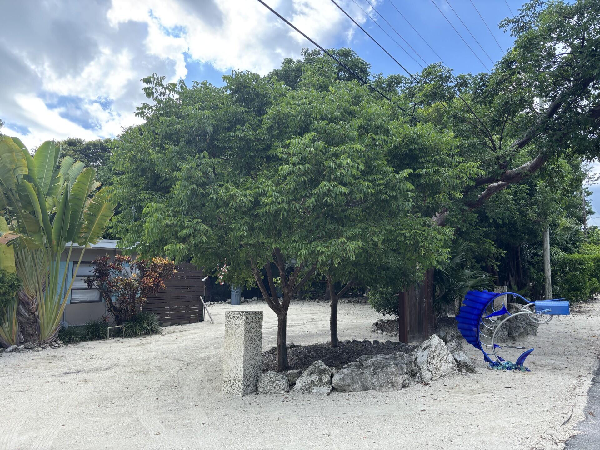 218 Matecumbe Avenue Property Photo 7