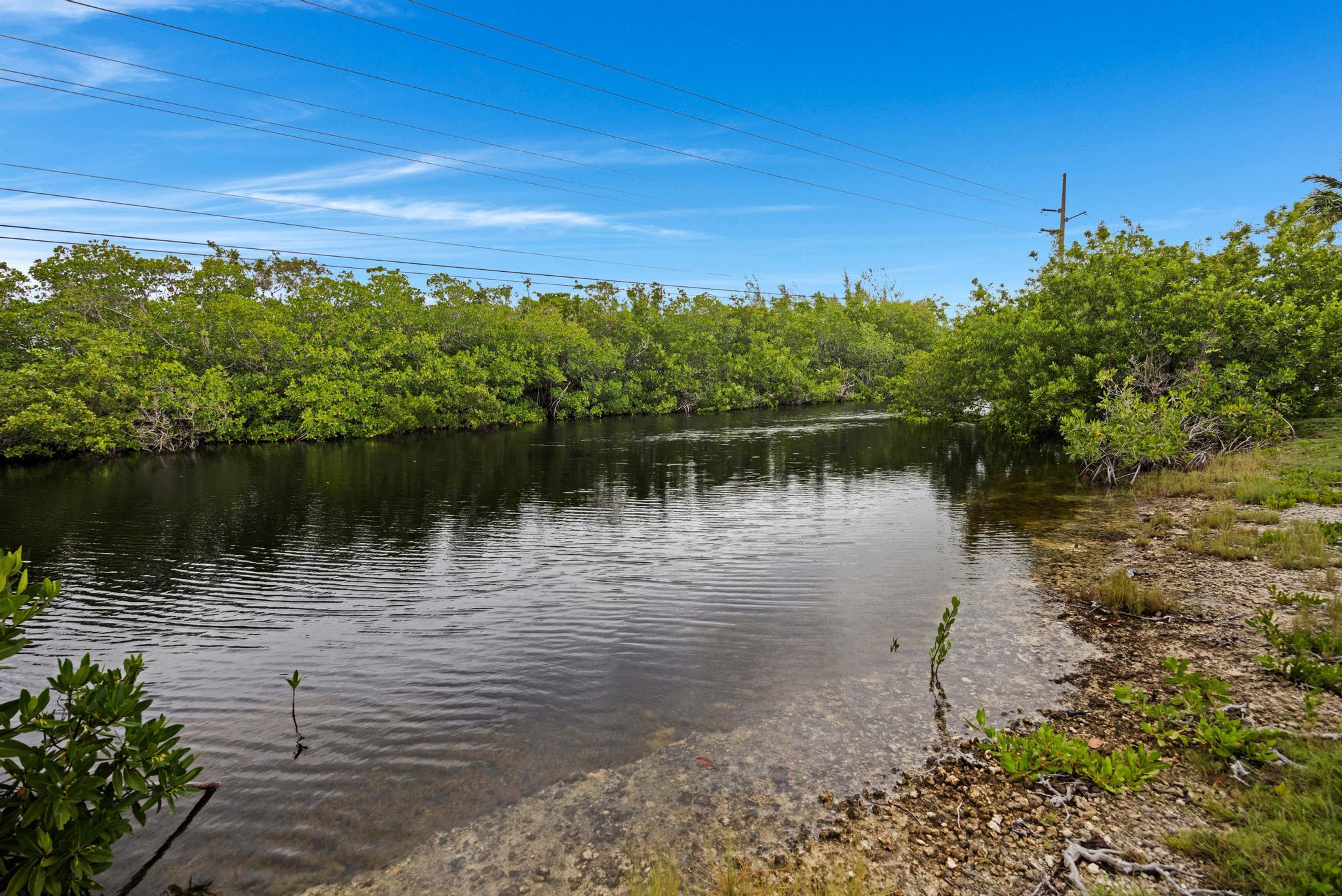 16841 Driftwood Lane Property Photo 3