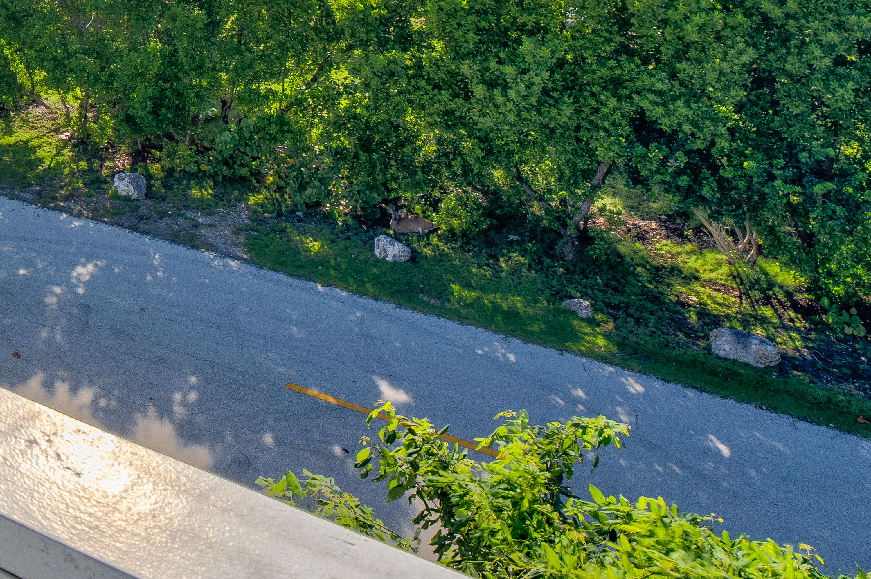 3831 Sunset Drive Property Photo 50