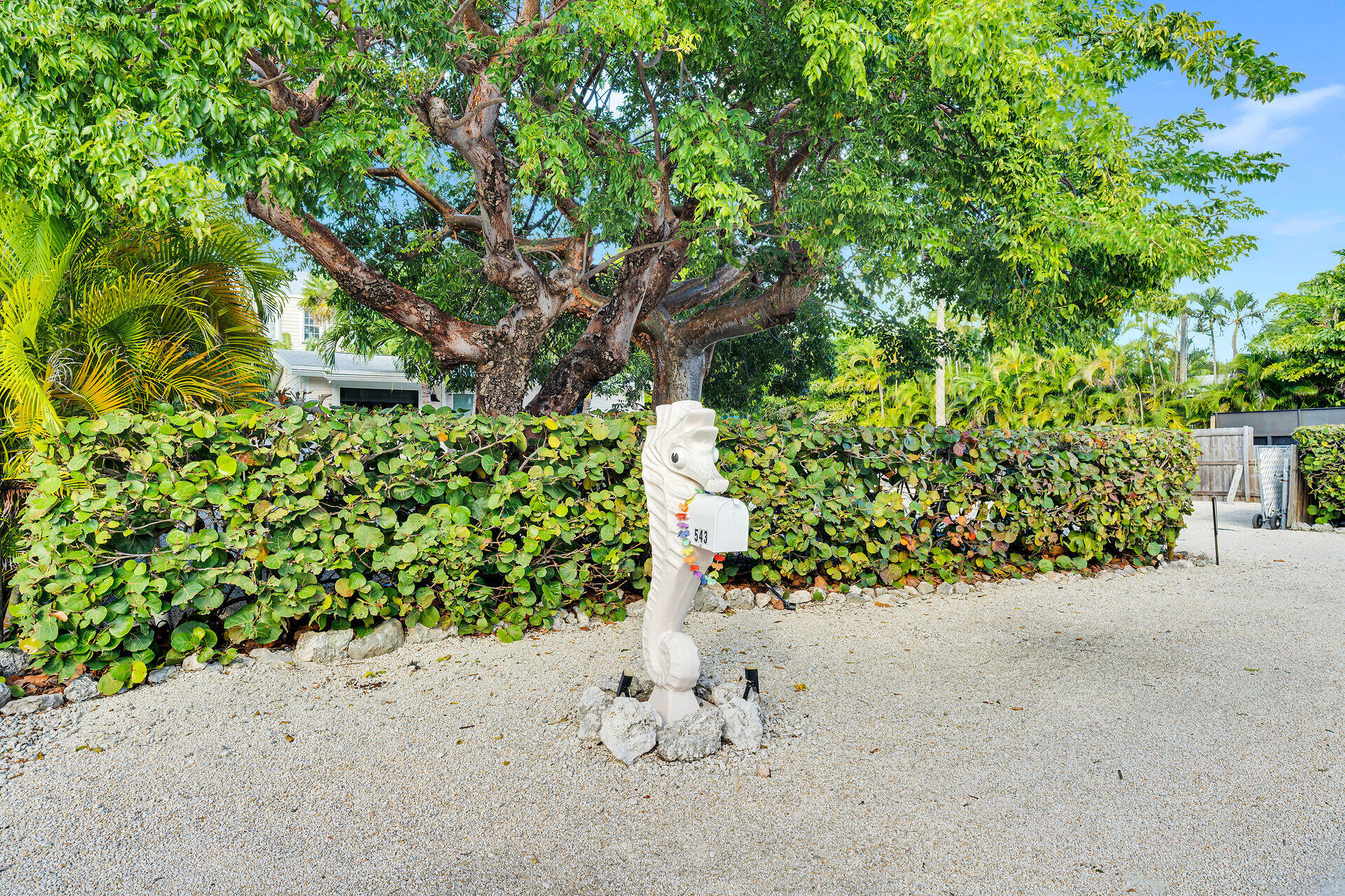 543 74th Street Property Photo 26