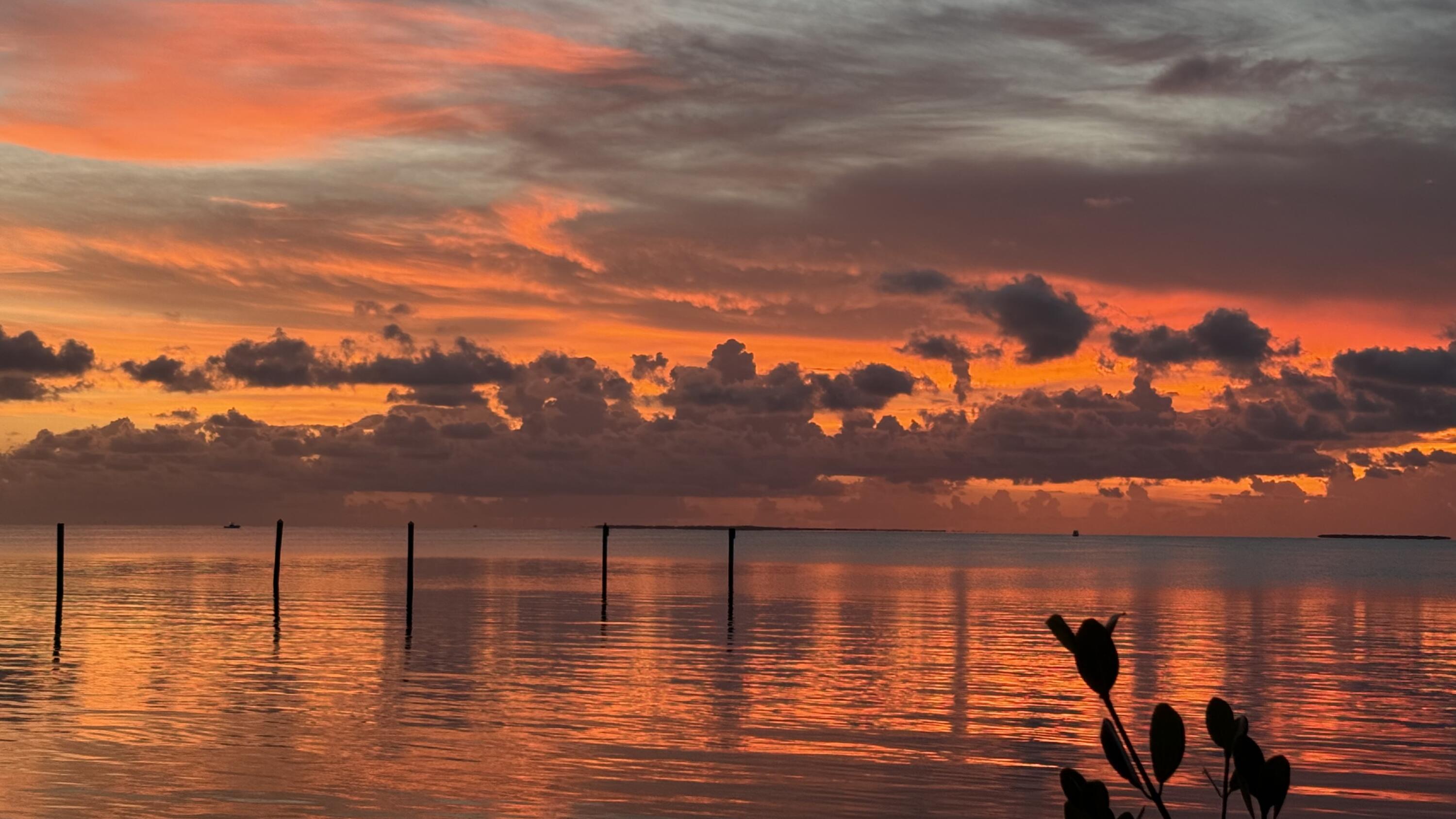 88500 Overseas Highway 320 Property Photo 18