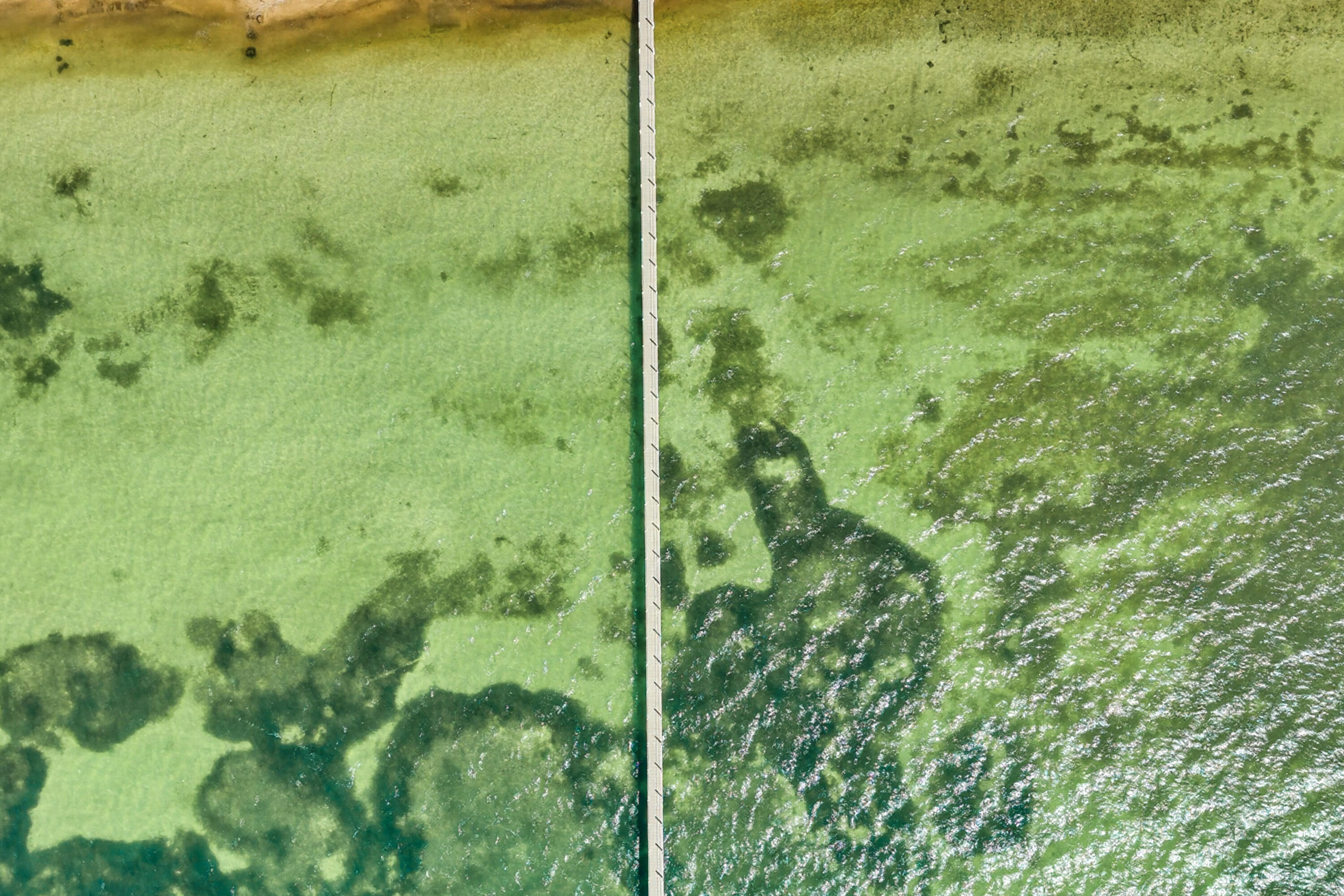 15760 Old State Road 4a Property Photo 139
