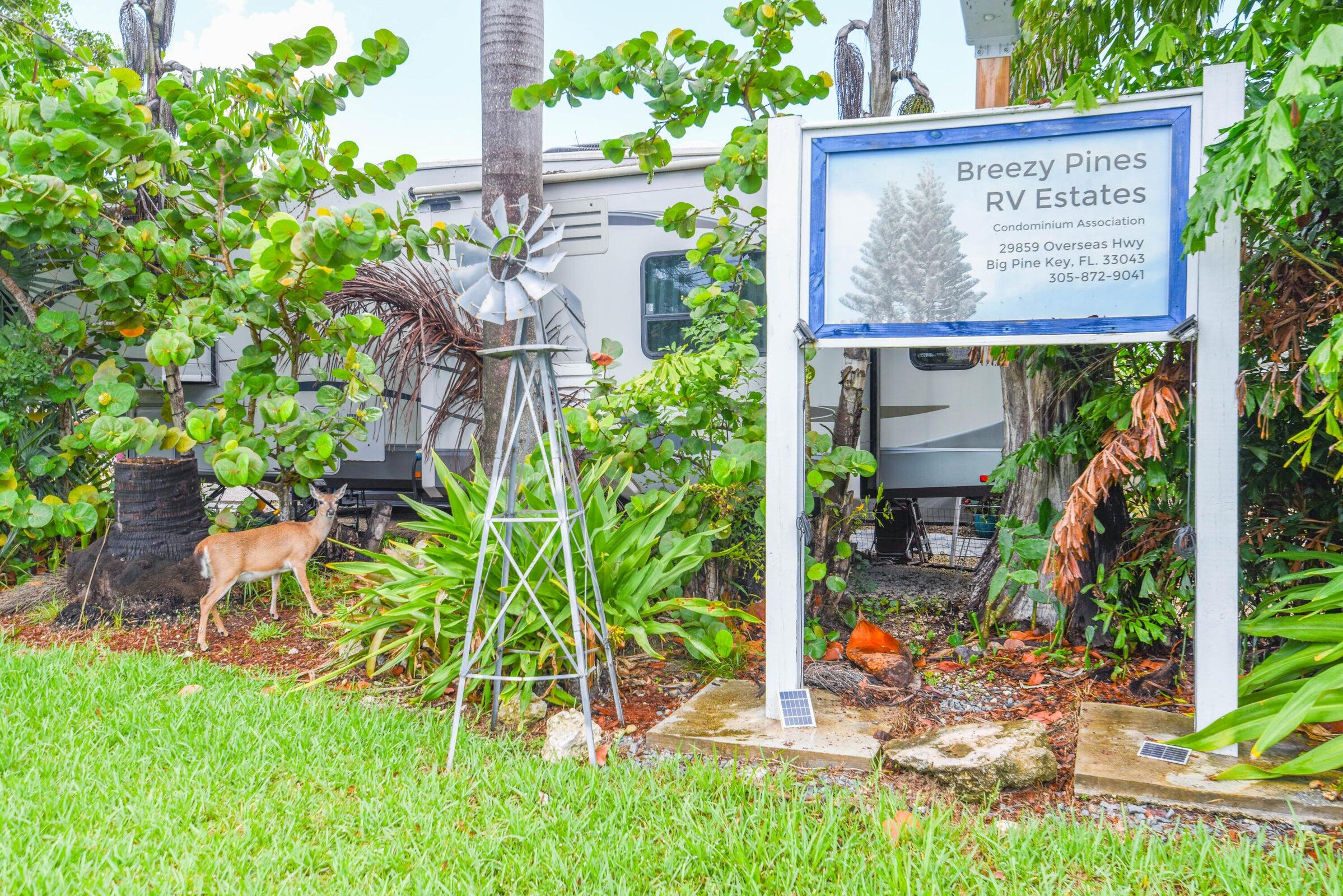 29859 Overseas Highway 37 Property Photo 22