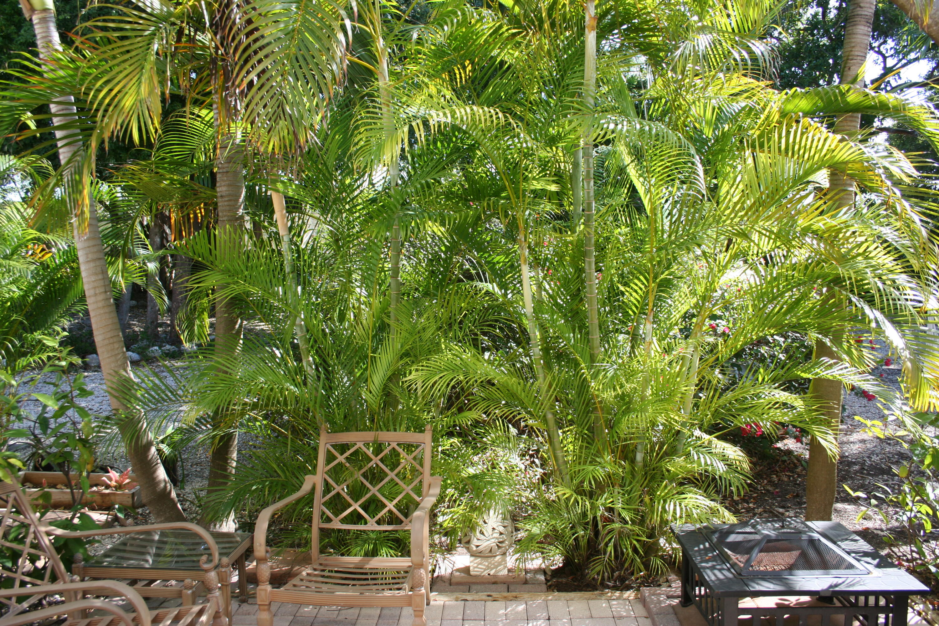 87200 N Overseas Highway N2 Property Photo 43