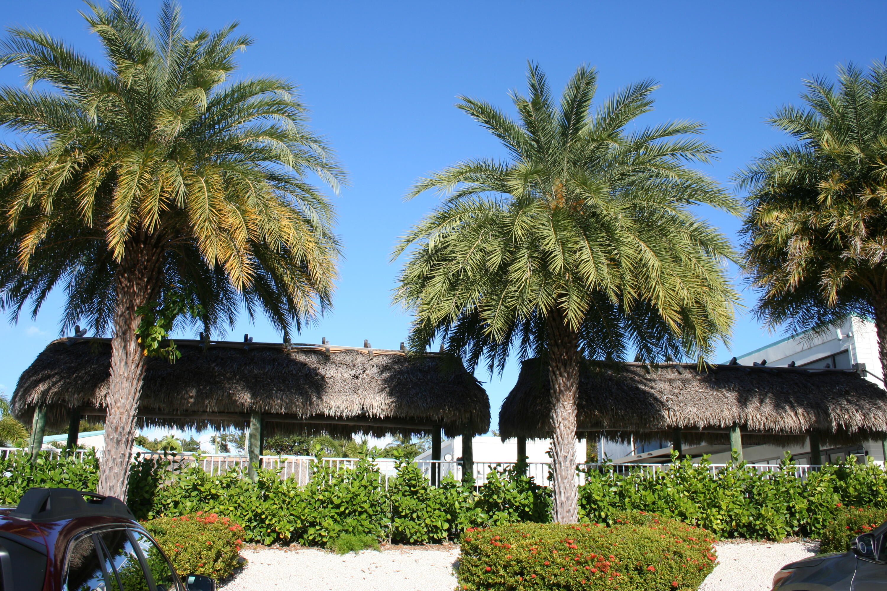 87200 N Overseas Highway N2 Property Photo 67