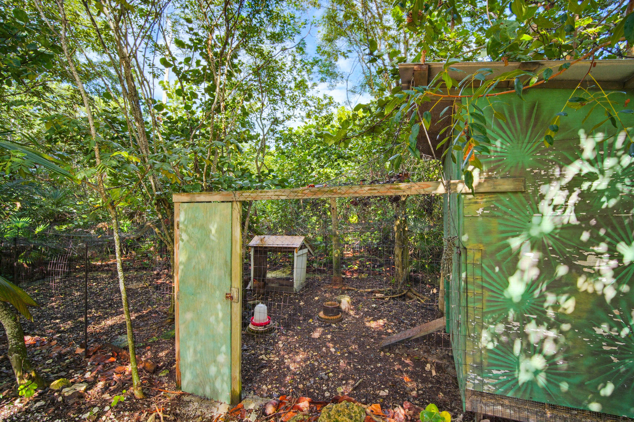 1258 Division Street Property Photo 56