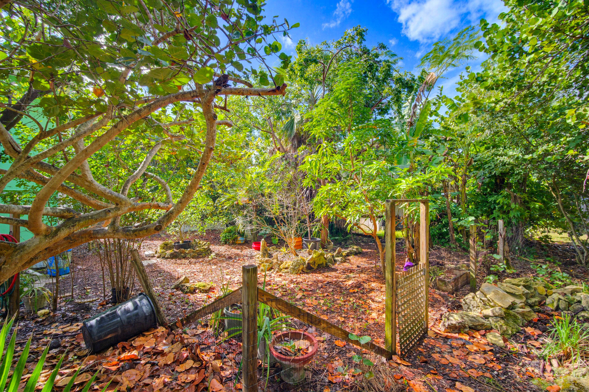 1258 Division Street Property Photo 58