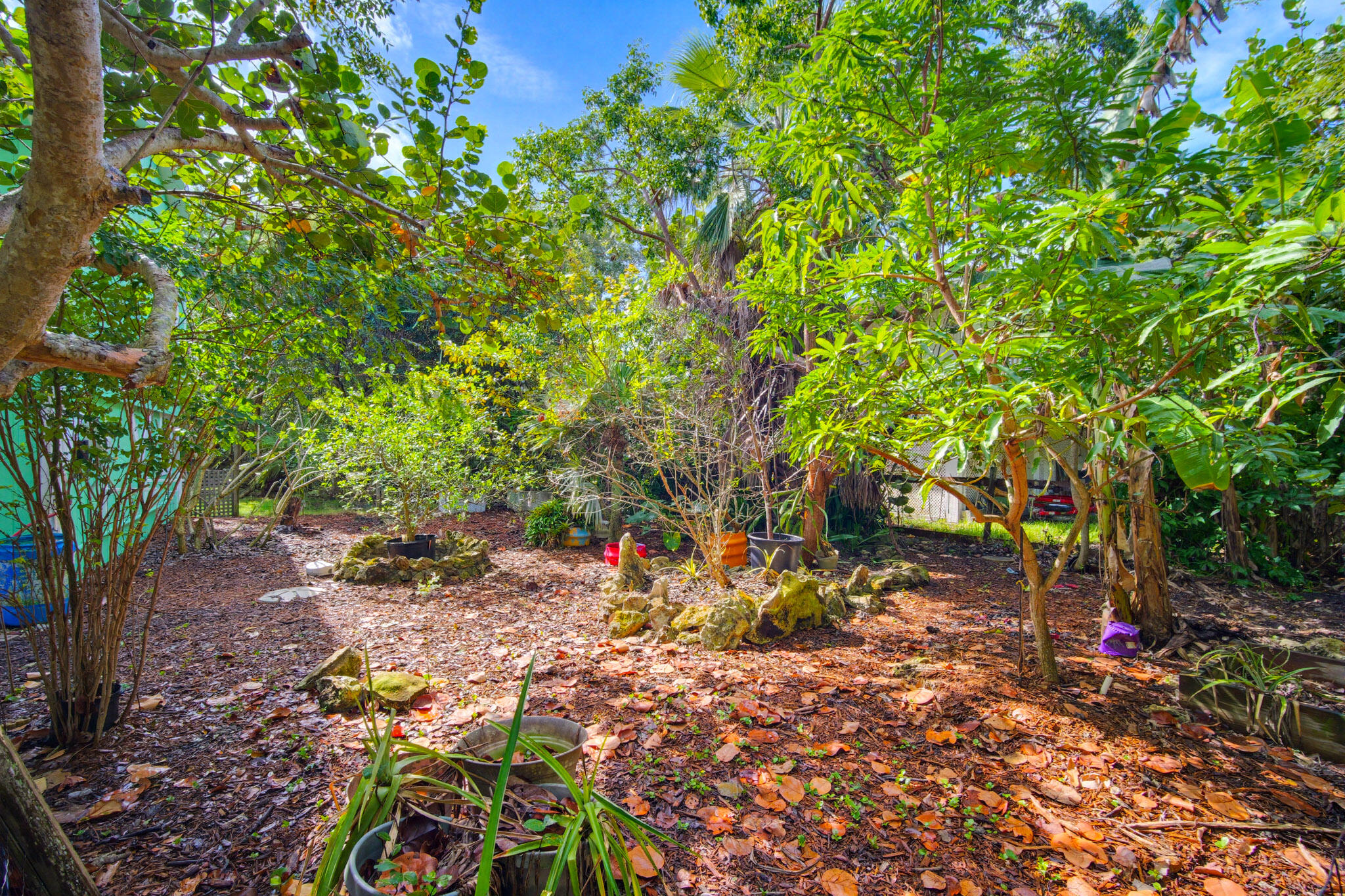 1258 Division Street Property Photo 59