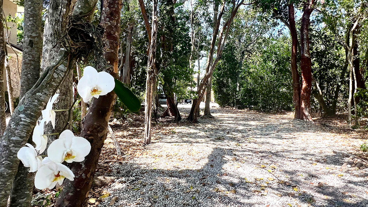 96000 Overseas Highway P1 Property Photo 20