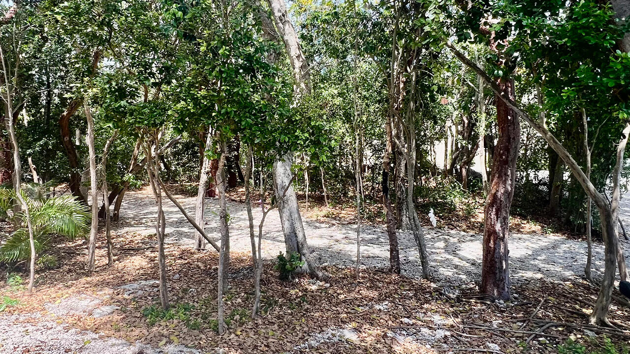 96000 Overseas Highway P1 Property Photo 22