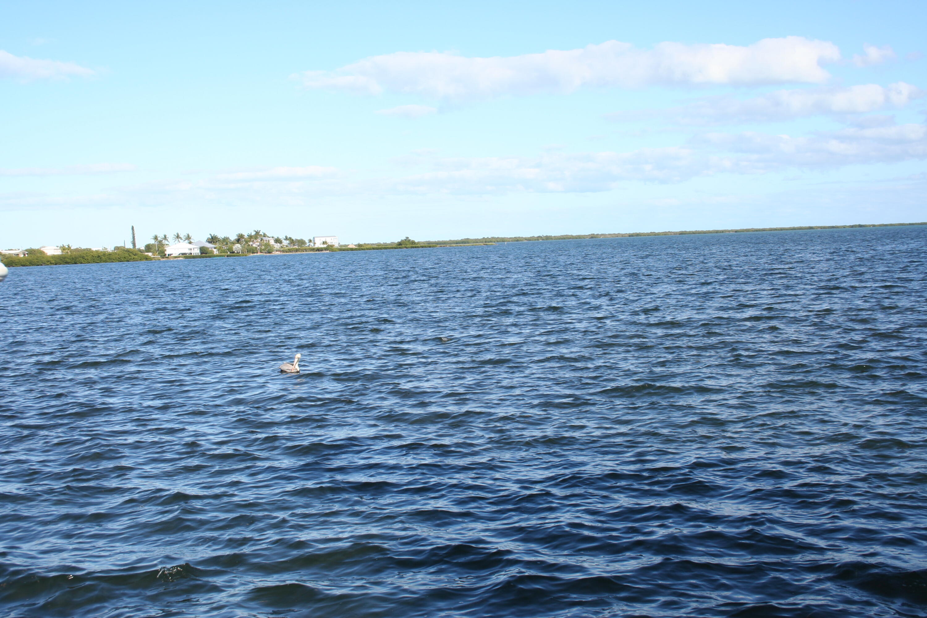 1553 Sunrise Drive Property Photo 105