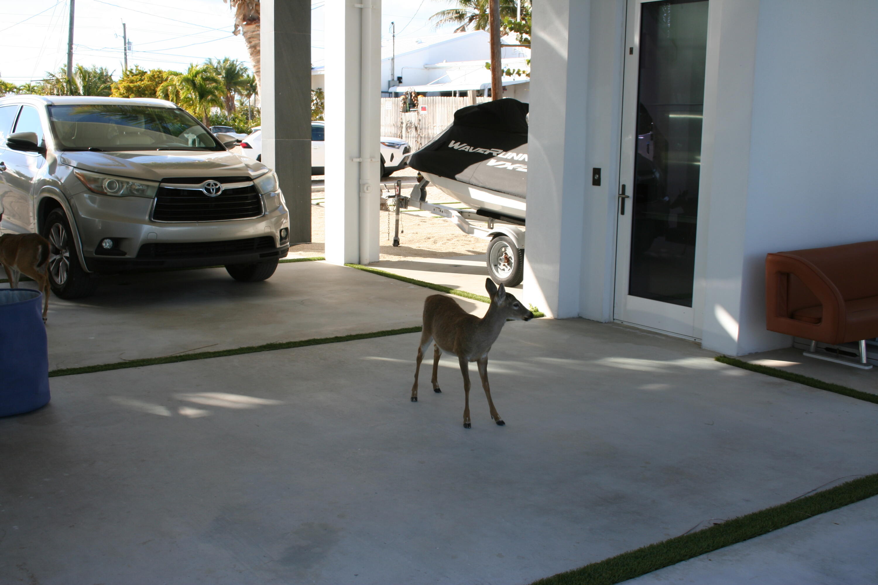 1553 Sunrise Drive Property Photo 111