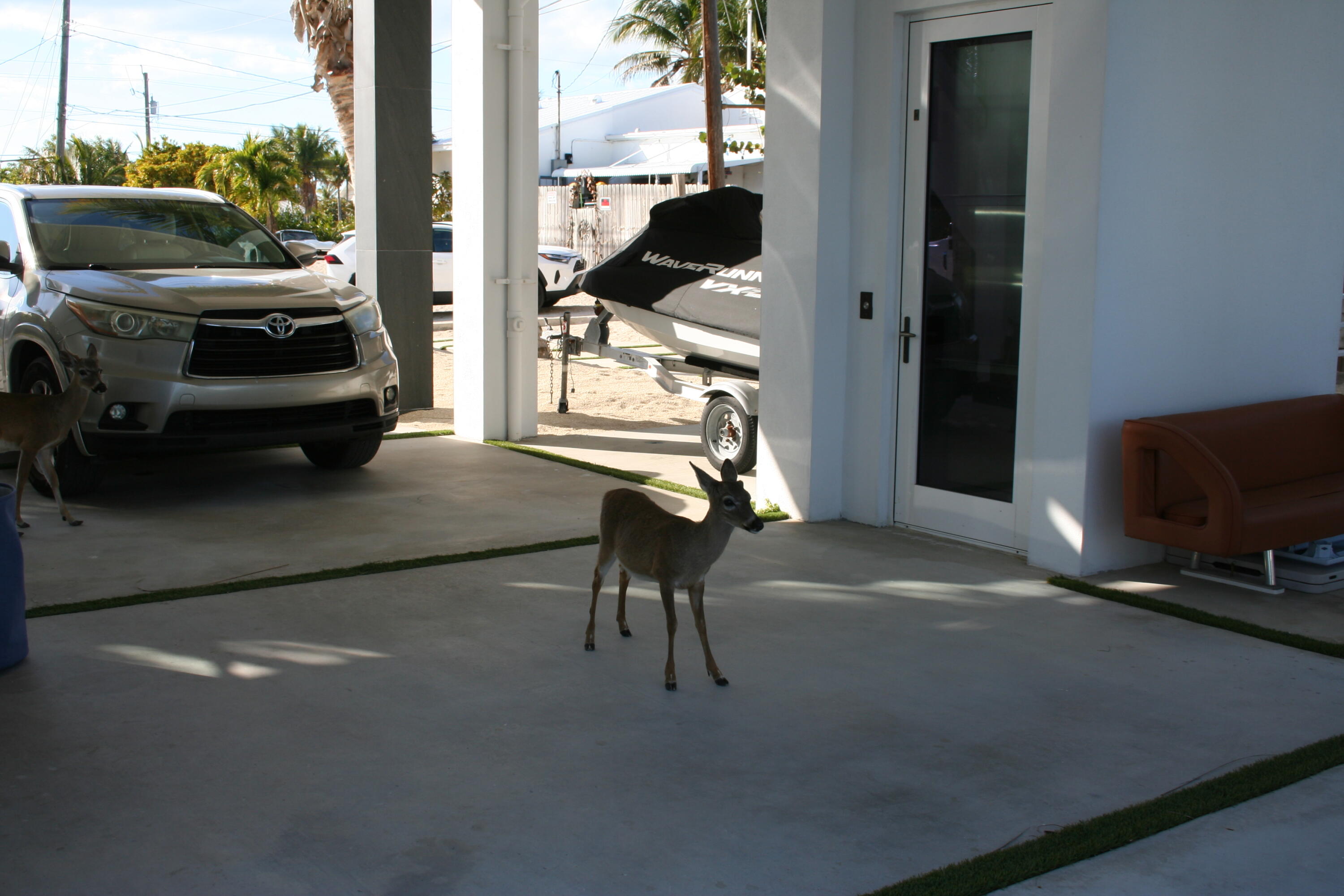 1553 Sunrise Drive Property Photo 112