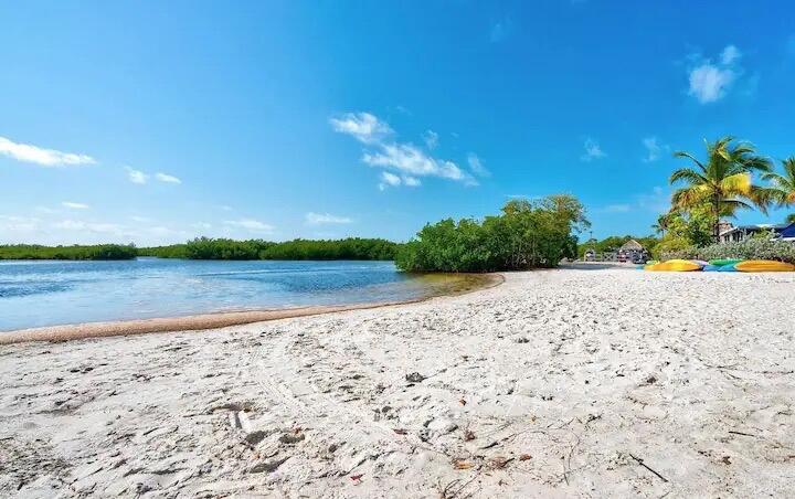 101551 Overseas Highway # 154 Property Photo 14