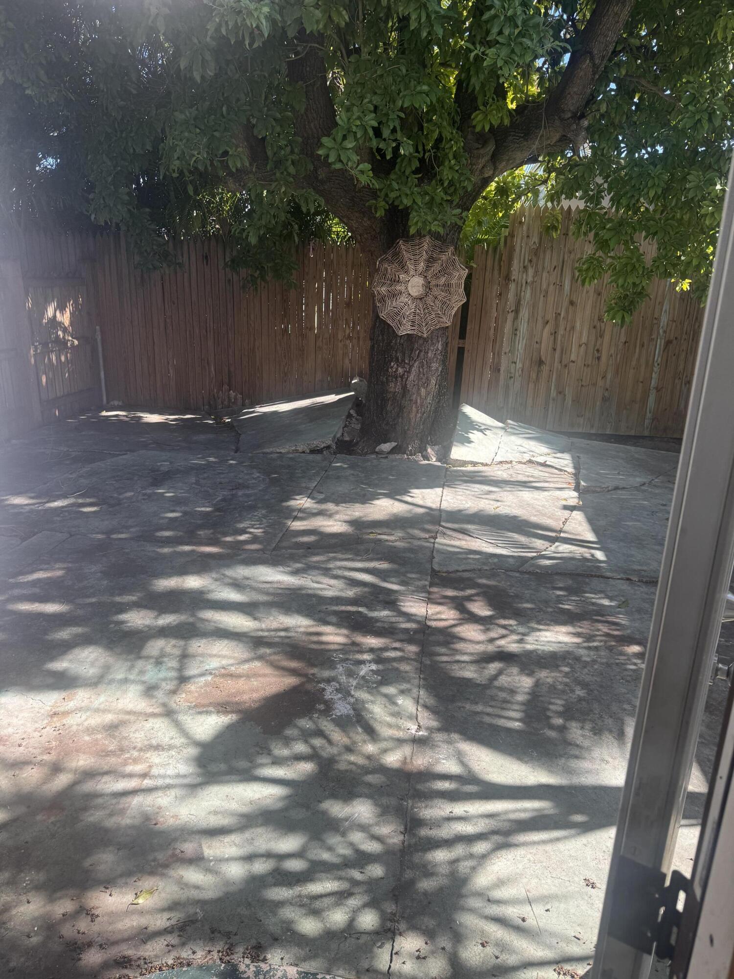 1432 Eliza Street Property Photo 6